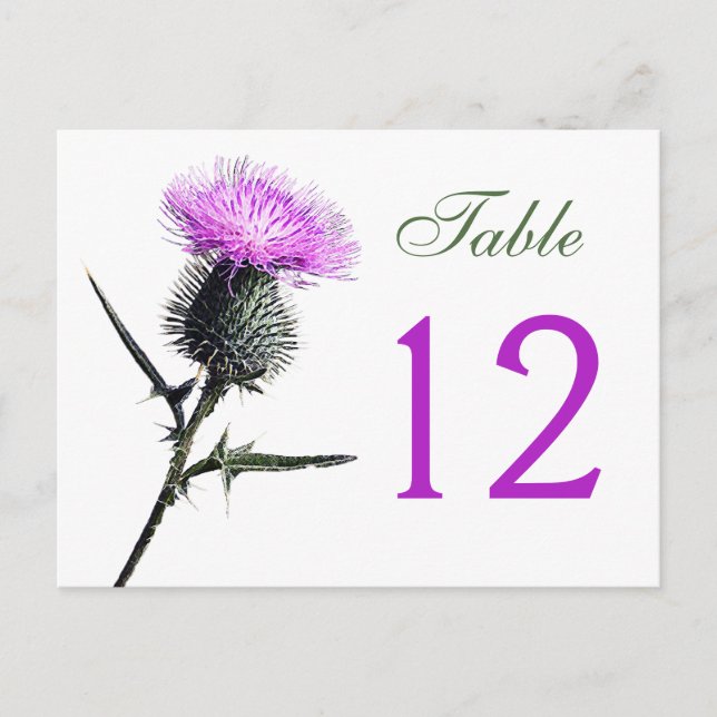 Purple, Green, White Thistle Table Number Card (Front)