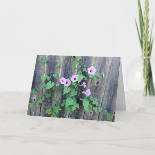 Purple growing flowers in fence sympathy card