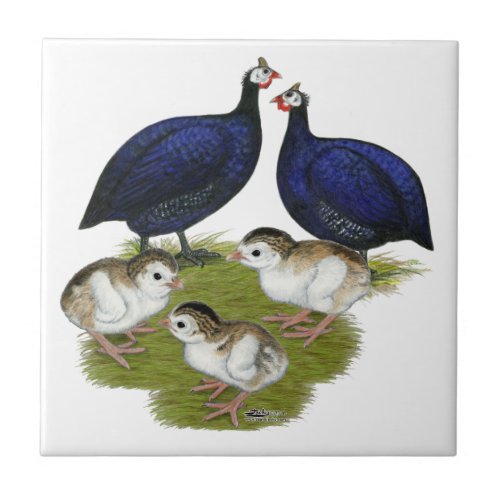 Purple Guinea Family Tile