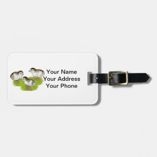 Purple Guinea Keets Luggage Tag