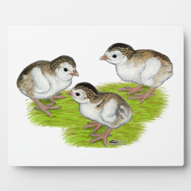 Purple Guinea Keets Plaque (Front)