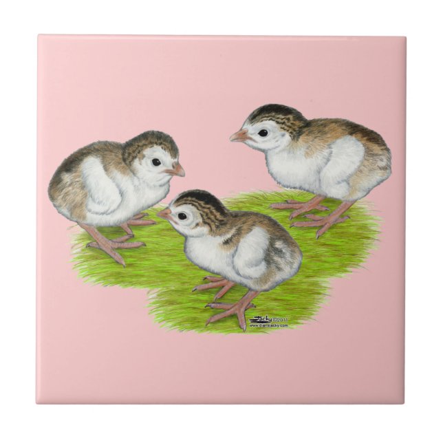 Purple Guinea Keets Tile (Front)