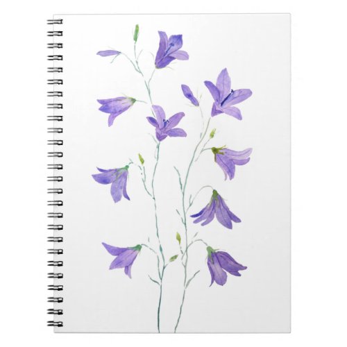 purple harebell wildflower watercolor notebook