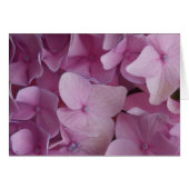 Purple Haze (Front Horizontal)