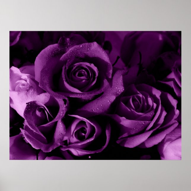 Purple Haze Poster (Front)