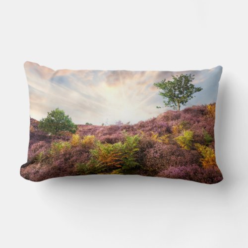 Purple heather sunrise at Roydon Common Norfolk Lumbar Pillow
