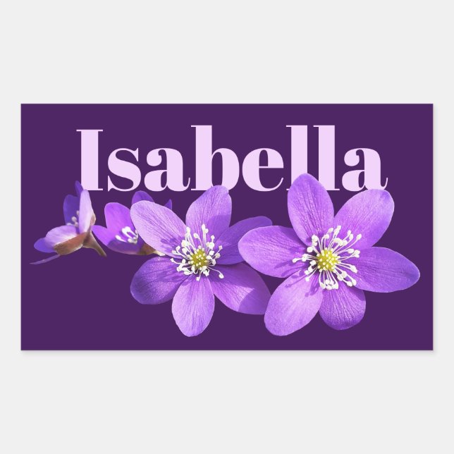 Purple Hepatica Flowers Name Dark Purple Rectangular Sticker (Front)