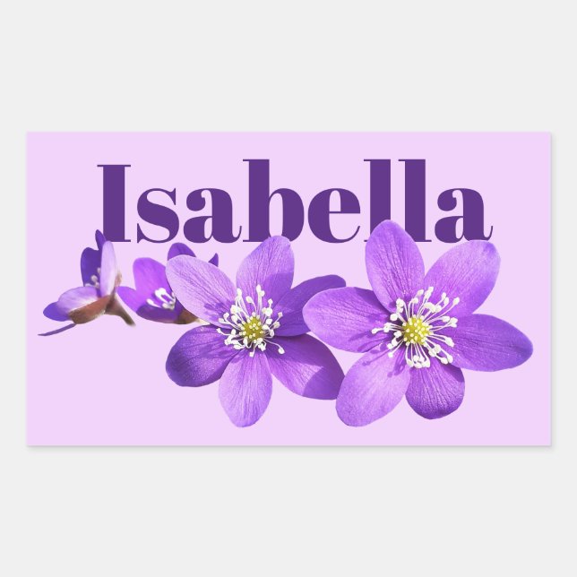Purple Hepatica Flowers Name Rectangular Sticker (Front)