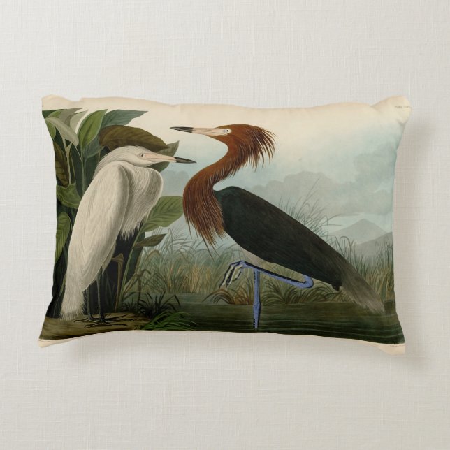 Purple Heron Audubon Bird Wildlife Painting Accent Pillow (Back)