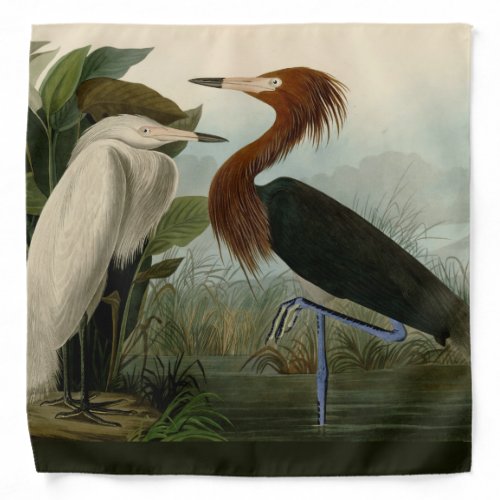 Purple Heron Audubon Bird Wildlife Painting Bandana