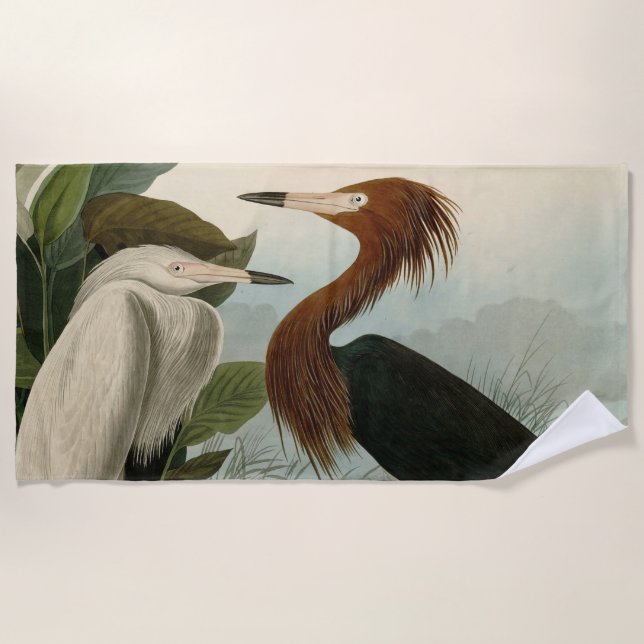 Purple Heron Audubon Bird Wildlife Painting Beach Towel (Front)