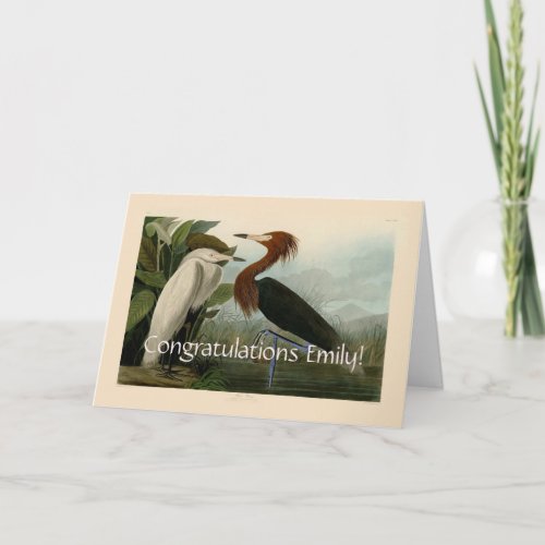 Purple Heron Audubon Bird Wildlife Painting Card