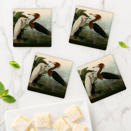 Purple Heron Audubon Bird Wildlife Painting Coaster Set