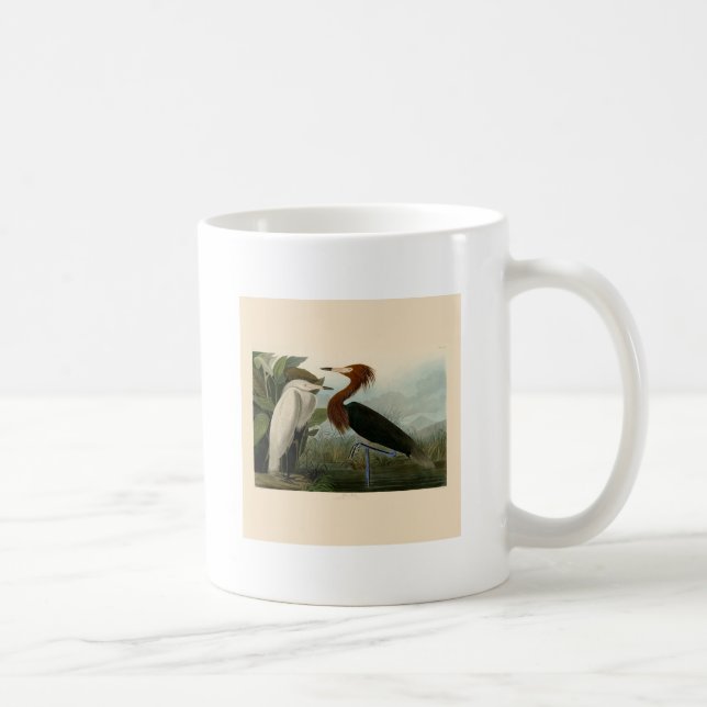 Purple Heron Audubon Bird Wildlife Painting Coffee Mug (Right)
