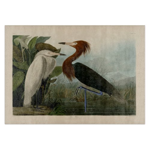 Purple Heron Audubon Bird Wildlife Painting Cutting Board