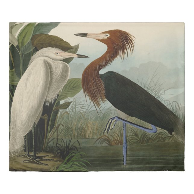 Purple Heron Audubon Bird Wildlife Painting Duvet Cover (Front)