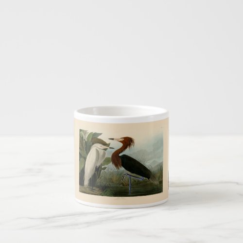 Purple Heron Audubon Bird Wildlife Painting Espresso Cup