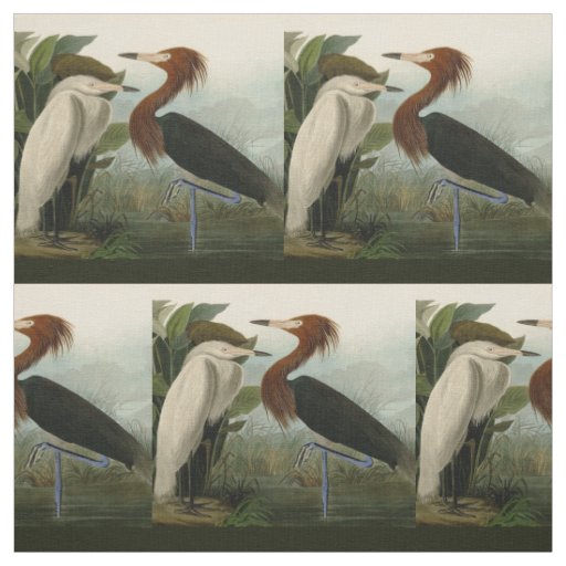 Purple Heron Audubon Bird Wildlife Painting Fabric