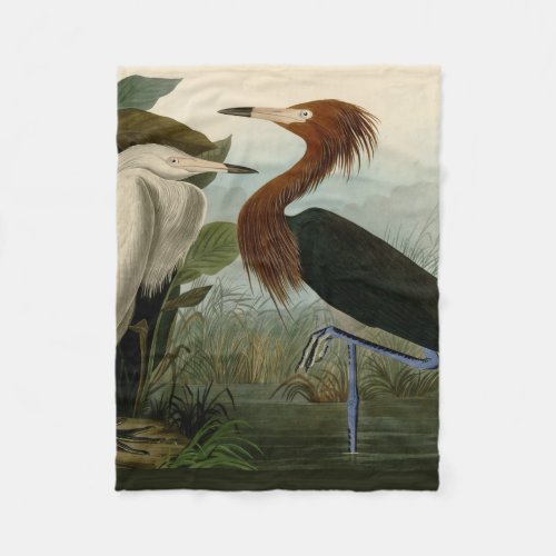 Purple Heron Audubon Bird Wildlife Painting Fleece Blanket