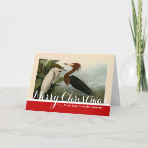 Purple Heron Audubon Bird Wildlife Painting Holiday Card