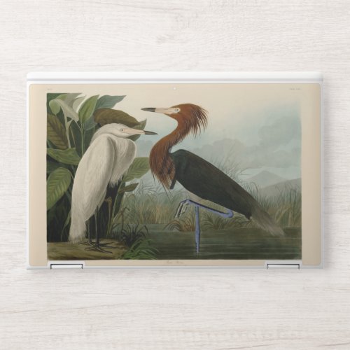 Purple Heron Audubon Bird Wildlife Painting HP Laptop Skin