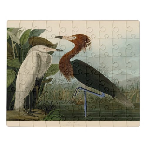 Purple Heron Audubon Bird Wildlife Painting Jigsaw Puzzle