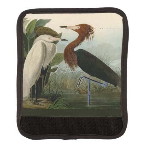 Purple Heron Audubon Bird Wildlife Painting Luggage Handle Wrap