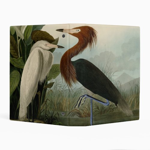 Purple Heron Audubon Bird Wildlife Painting Mini Binder