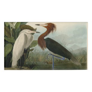 Purple Heron Audubon Bird Wildlife Painting Name Tag