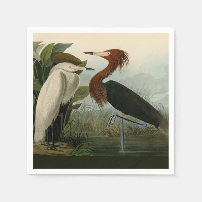Purple Heron Audubon Bird Wildlife Painting Napkins (Front)