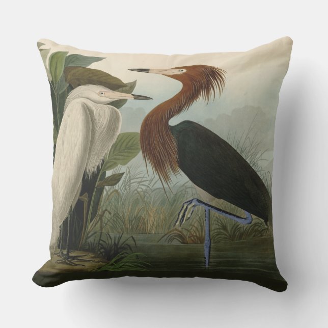 Purple Heron Audubon Bird Wildlife Painting Outdoor Pillow (Front)