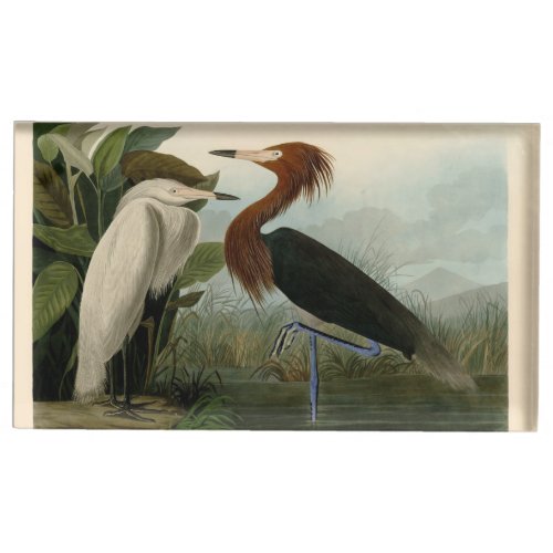 Purple Heron Audubon Bird Wildlife Painting Place Card Holder