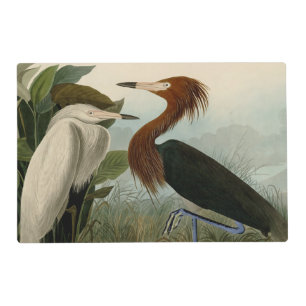 Purple Heron Audubon Bird Wildlife Painting Placemat