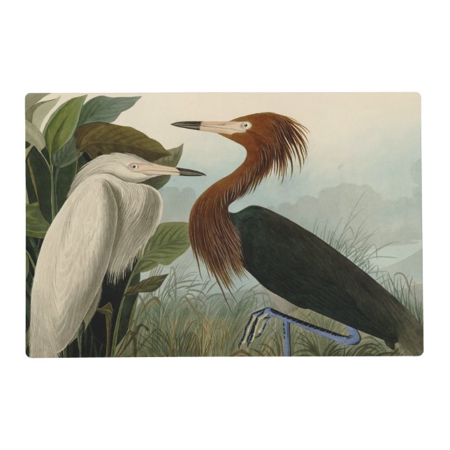 Purple Heron Audubon Bird Wildlife Painting Placemat (Front)