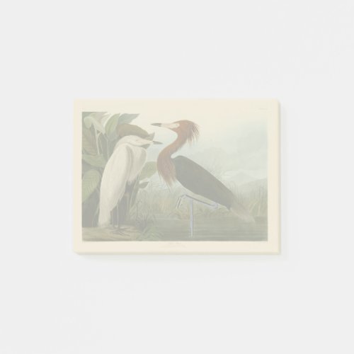 Purple Heron Audubon Bird Wildlife Painting Post_it Notes