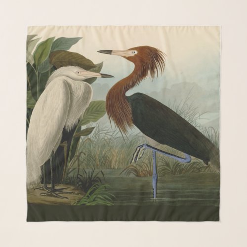 Purple Heron Audubon Bird Wildlife Painting Scarf