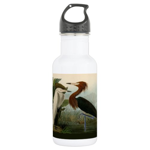 Purple Heron Audubon Bird Wildlife Painting Stainless Steel Water Bottle