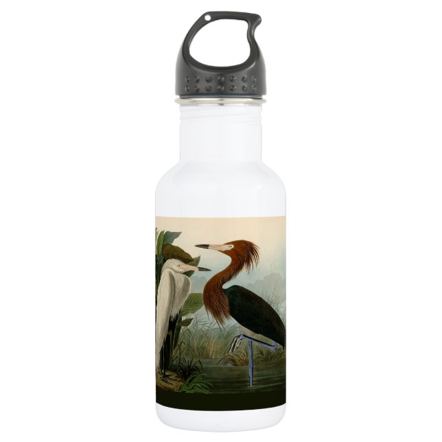 Purple Heron Audubon Bird Wildlife Painting Stainless Steel Water Bottle (Front)
