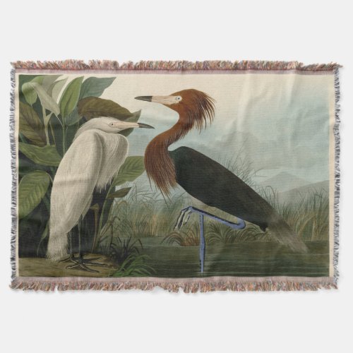 Purple Heron Audubon Bird Wildlife Painting Throw Blanket