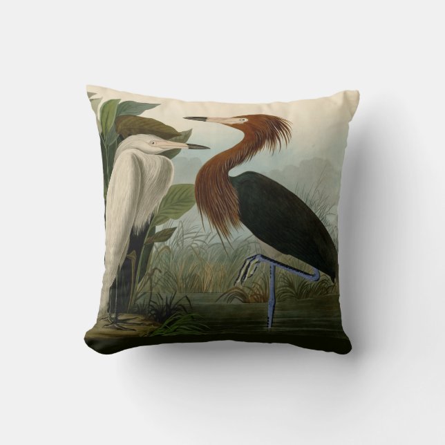 Purple Heron Audubon Bird Wildlife Painting Throw Pillow (Front)