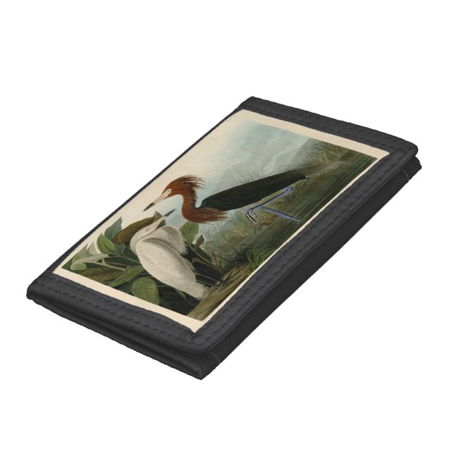 Purple Heron Audubon Bird Wildlife Painting Trifold Wallet (Bottom)