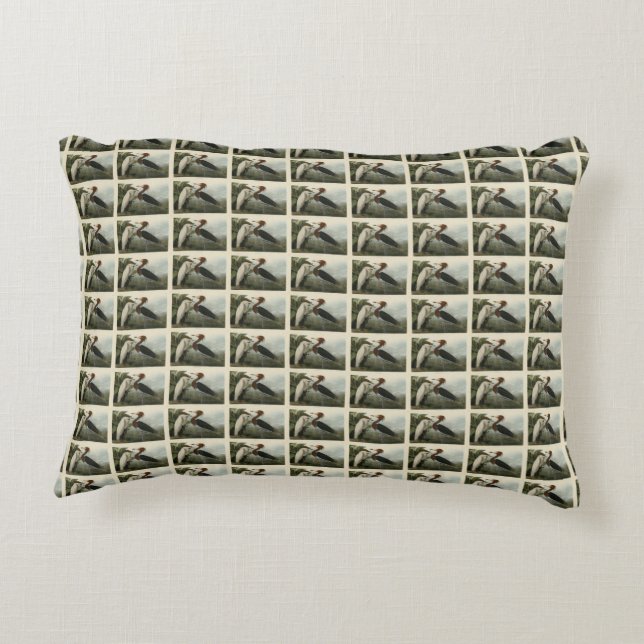 Purple Heron - from Audubon's Birds of America Accent Pillow (Back)