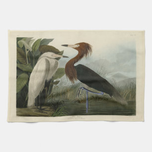 Purple Heron - from Audubon's Birds of America Kitchen Towel