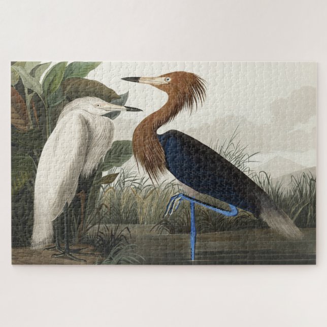 Purple Heron from Birds of America Jigsaw Puzzle (Horizontal)