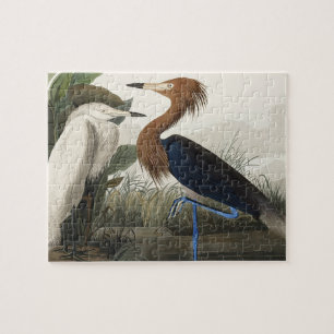 Purple Heron from Birds of America Jigsaw Puzzle