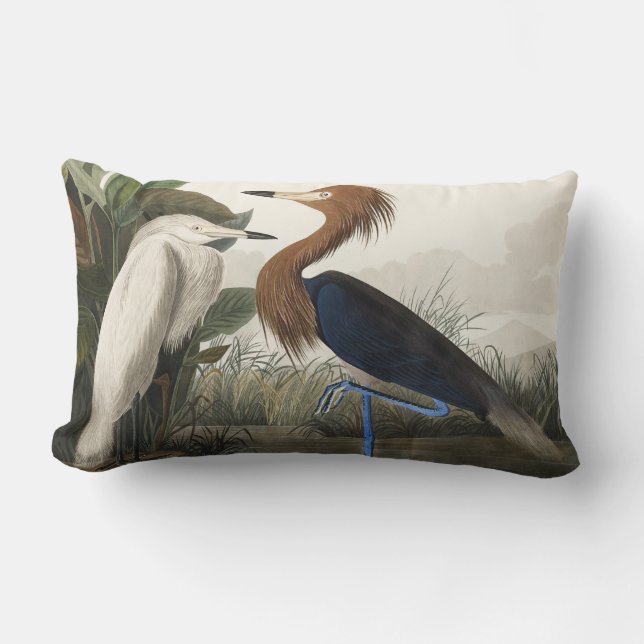 Purple Heron from Birds of America Lumbar Pillow (Front)
