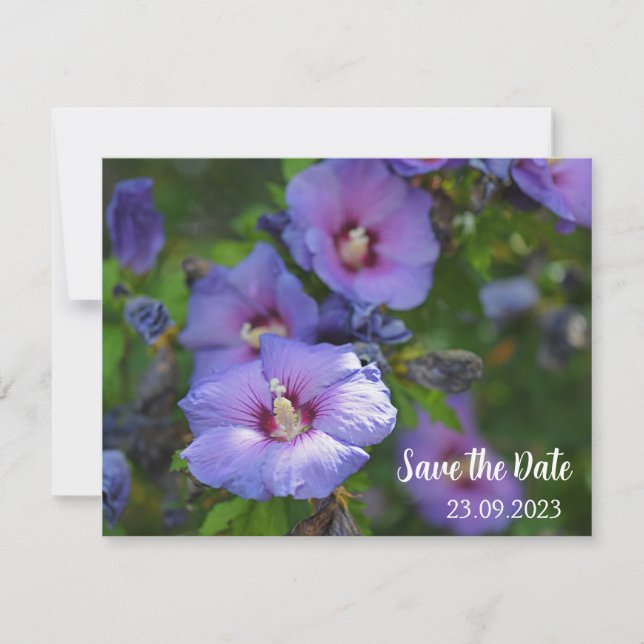 Purple Hibiscus Flower Celebration Save the Date Holiday Card (Front)