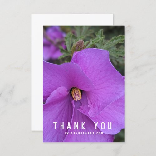 Purple Hibiscus Flower Closeup