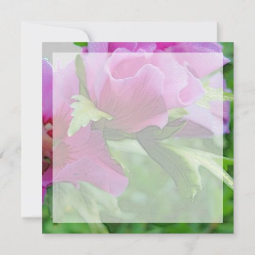 Purple hisbiscus flowers custom invites