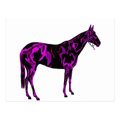 Purple Horse Art Postcard